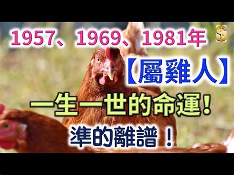 70年次屬雞五行|五種雞年：不同年份的屬雞，不同的命，你屬於哪一。